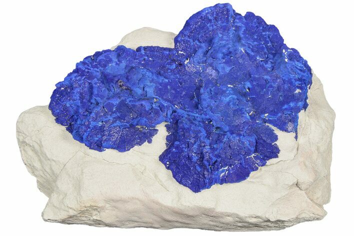 Vibrant Blue Azurite Suns on Siltstone - Australia #188467